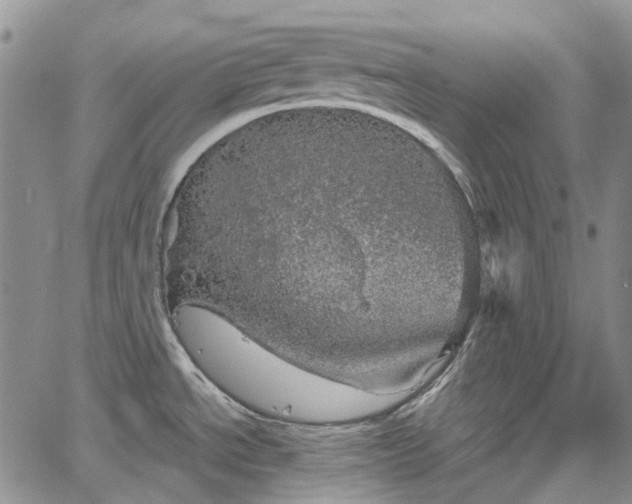 X0000067891534200604201256