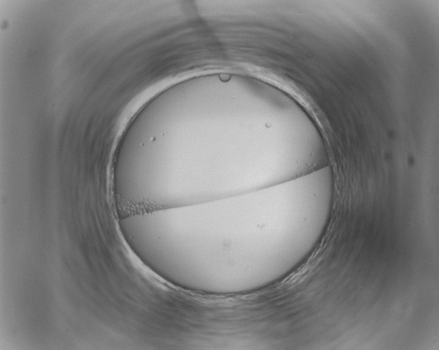 X0000067891535200604201256