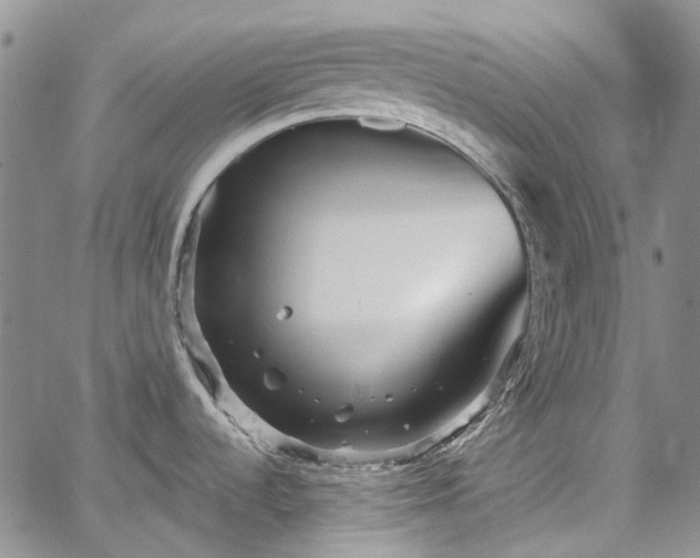 X0000067891536200604201256