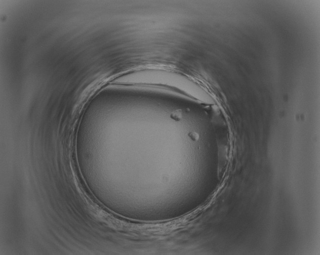 X0000067890001200604271838