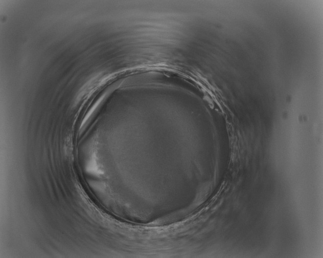 X0000067890002200604271838