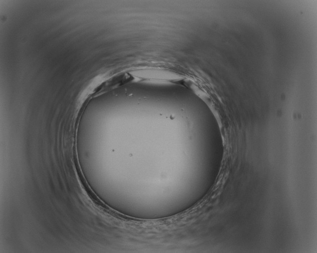 X0000067890003200604271838