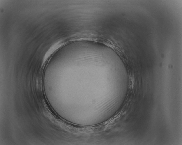 X0000067890004200604271838