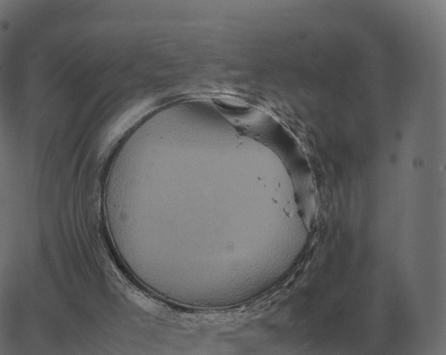 X0000067890005200604271838