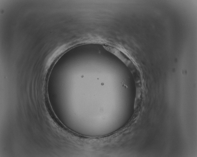 X0000067890007200604271838