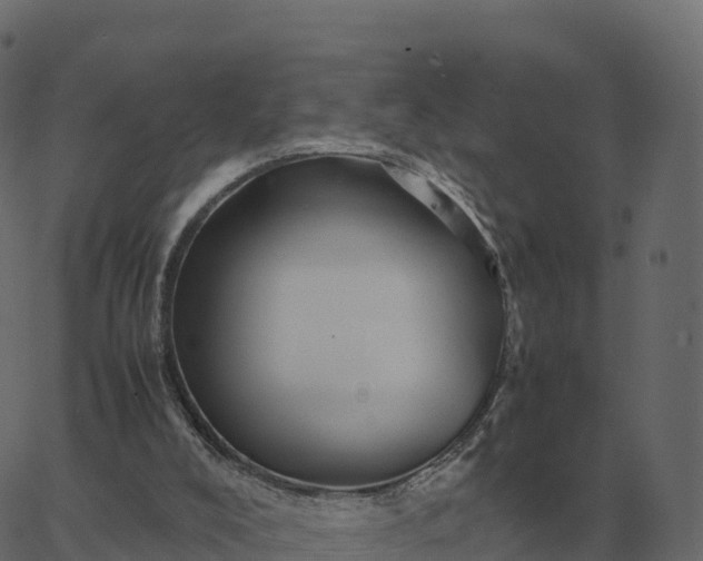 X0000067890008200604271838