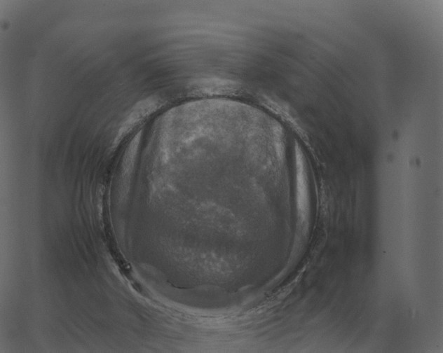 X0000067890010200604271838