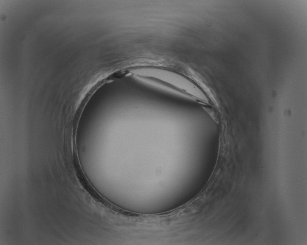 X0000067890011200604271838