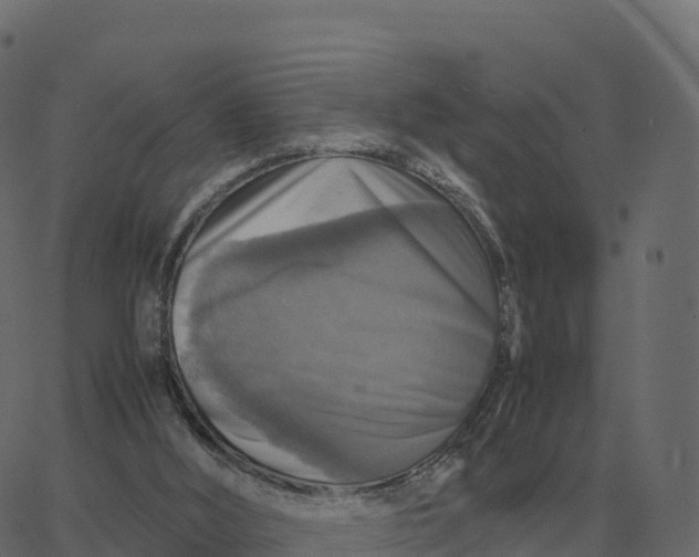 X0000067890012200604271838