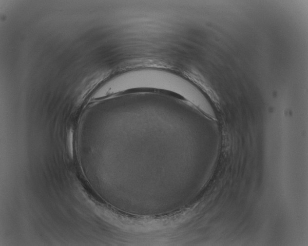 X0000067890014200604271838