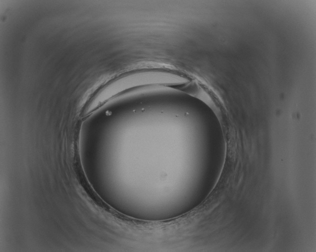 X0000067890015200604271838