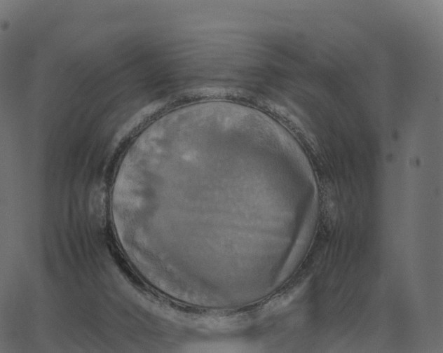 X0000067890016200604271838