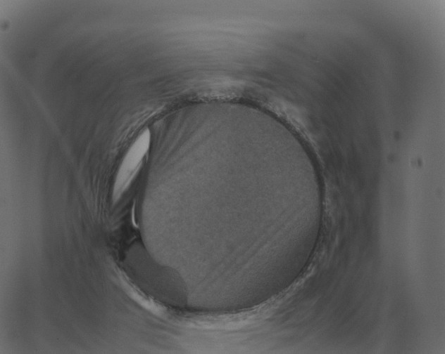 X0000067890017200604271838