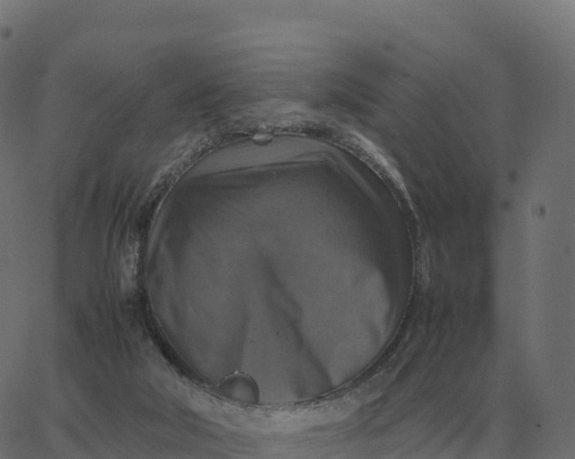 X0000067890018200604271838