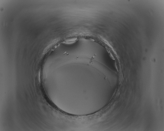 X0000067890019200604271838