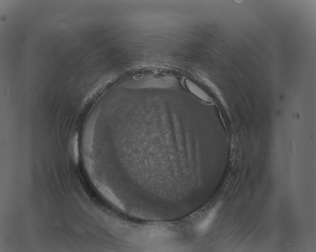 X0000067890020200604271838