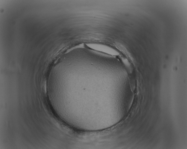 X0000067890021200604271838