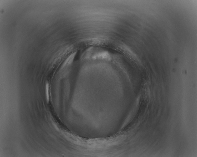 X0000067890022200604271838