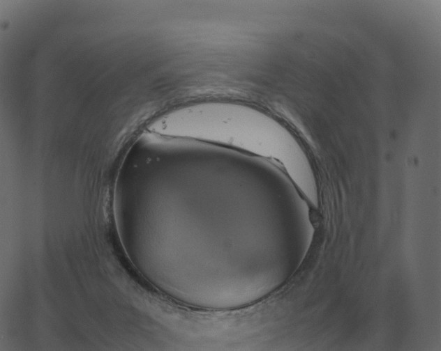 X0000067890023200604271838