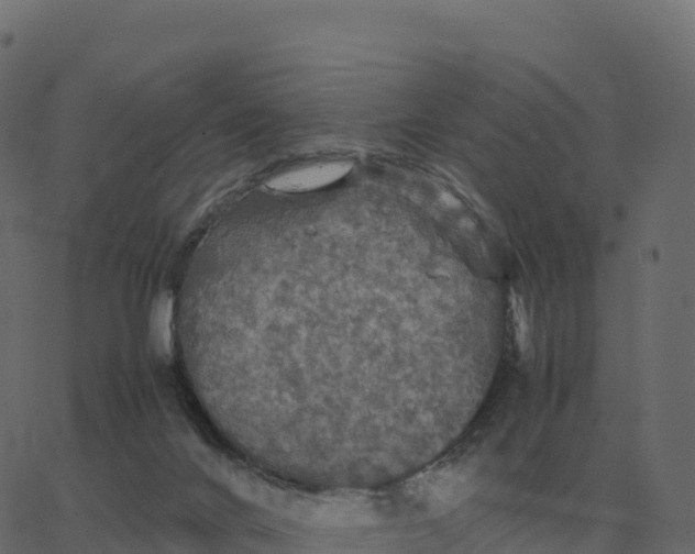 X0000067890024200604271838