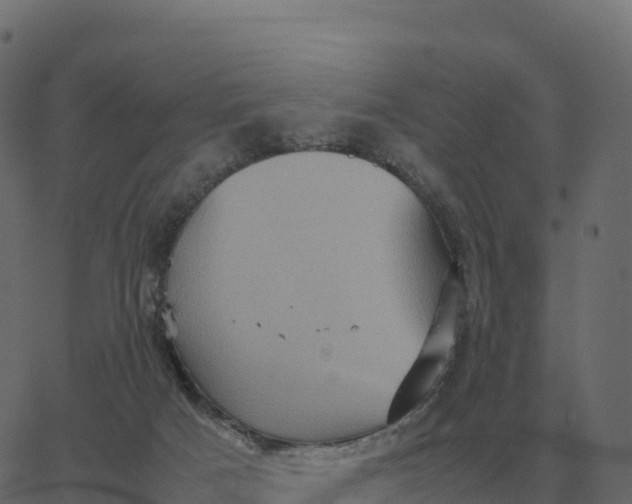 X0000067890025200604271838