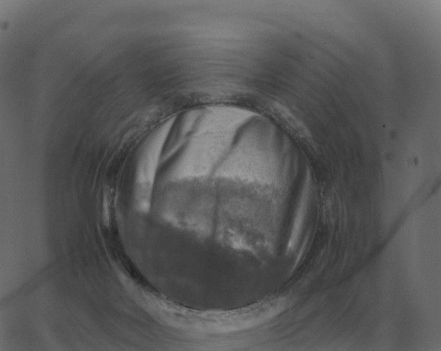 X0000067890026200604271838