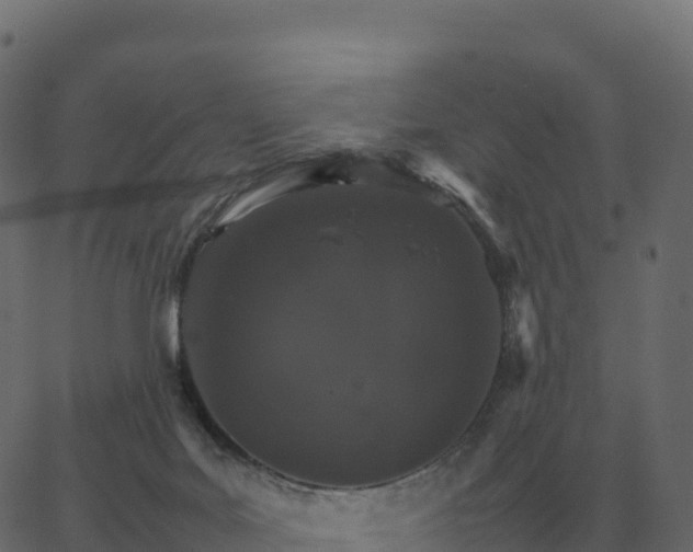 X0000067890027200604271838