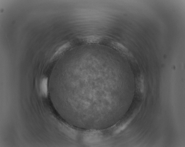 X0000067890028200604271838