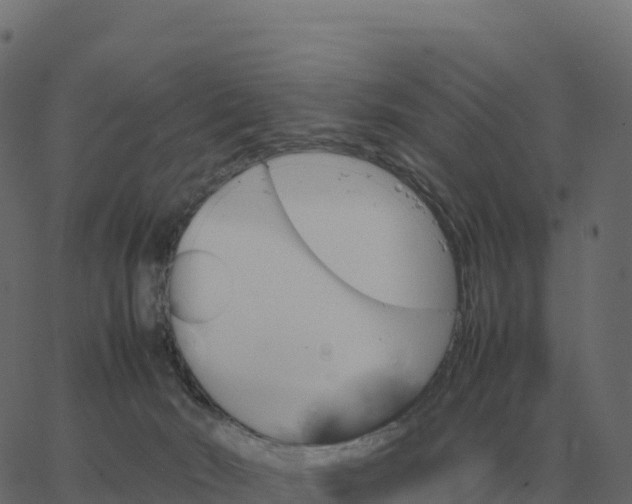 X0000067890030200604271838