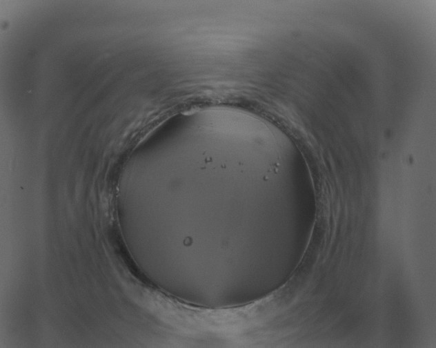 X0000067890031200604271838