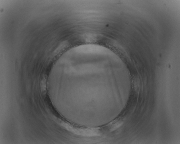 X0000067890032200604271838