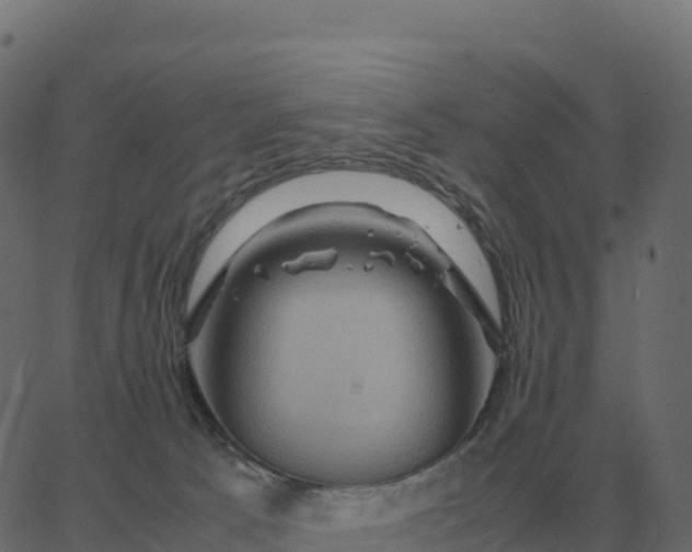 X0000067890033200604271838