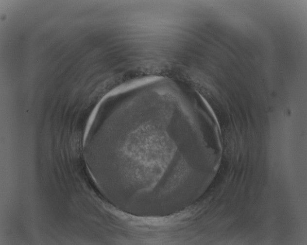 X0000067890034200604271838