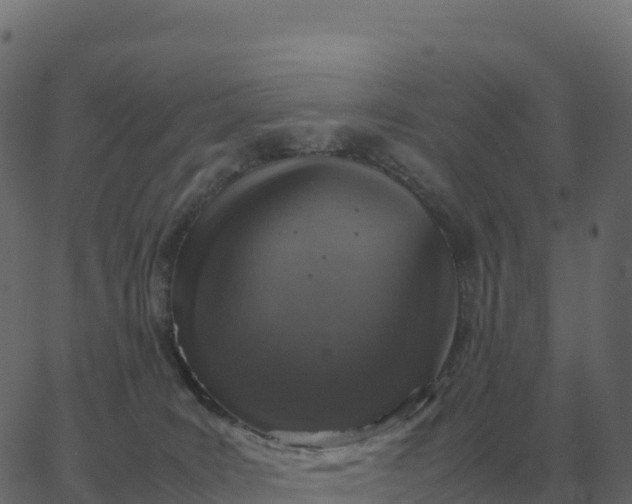 X0000067890035200604271838