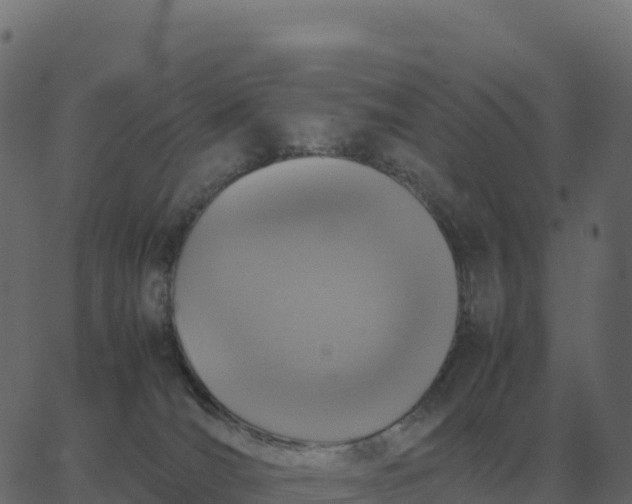 X0000067890036200604271838