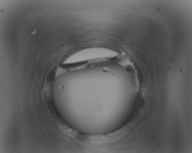 X0000067890037200604271838