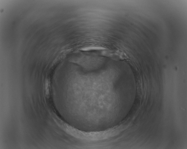 X0000067890038200604271838