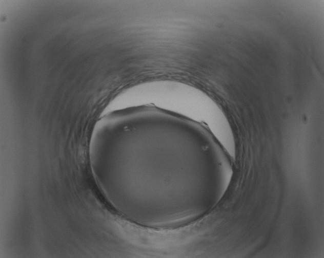 X0000067890039200604271838