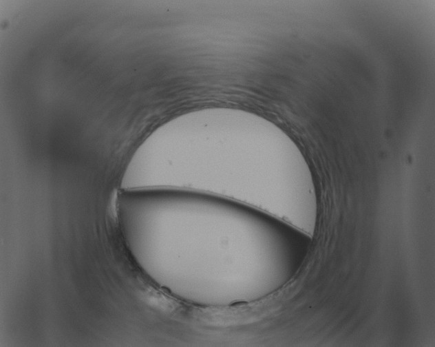 X0000067890041200604271838