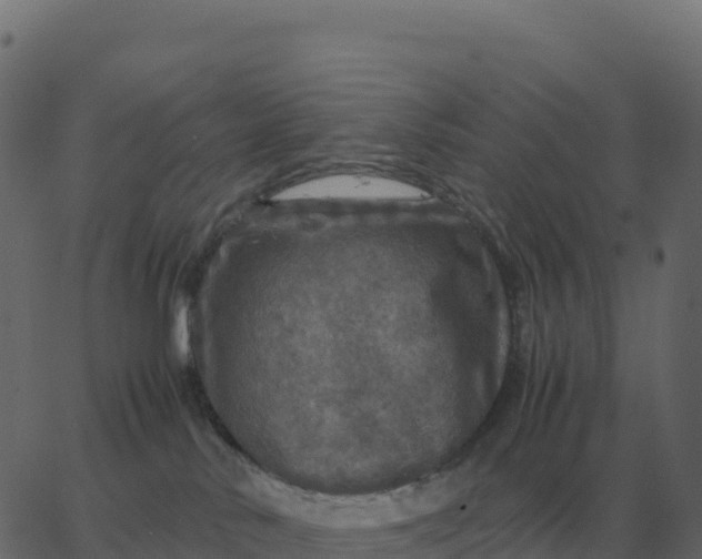 X0000067890042200604271838