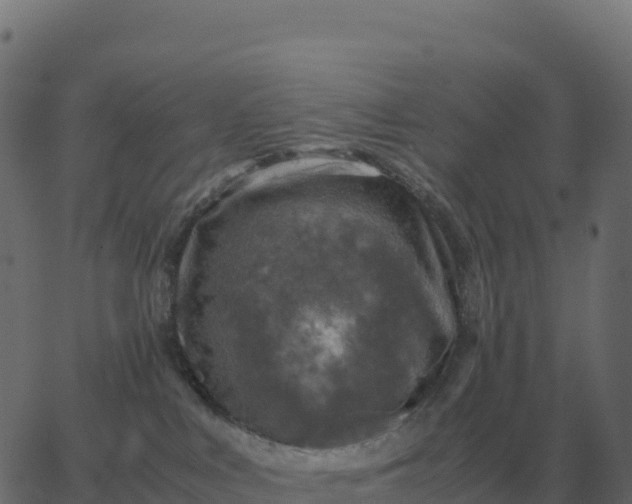 X0000067890043200604271838