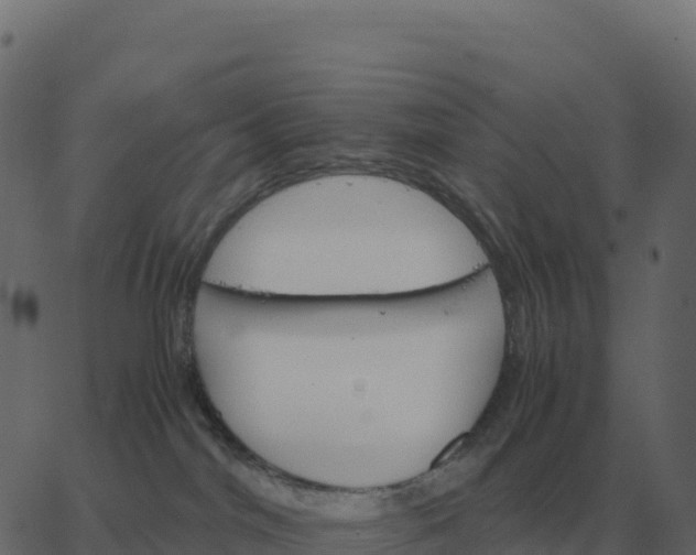 X0000067890044200604271837