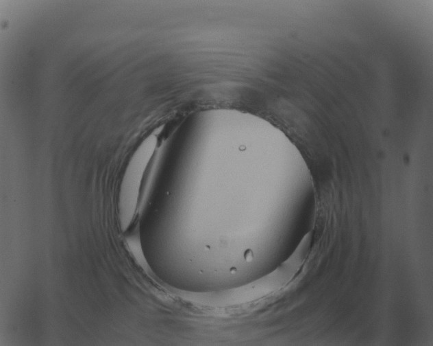 X0000067890045200604271837