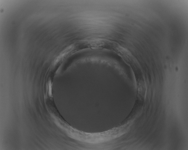 X0000067890046200604271837