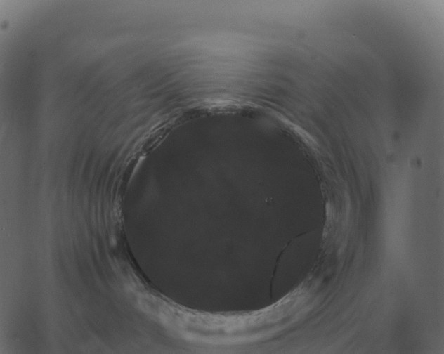 X0000067890048200604271837