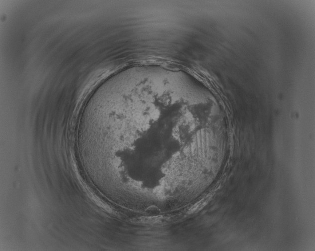 X0000067890049200604271837