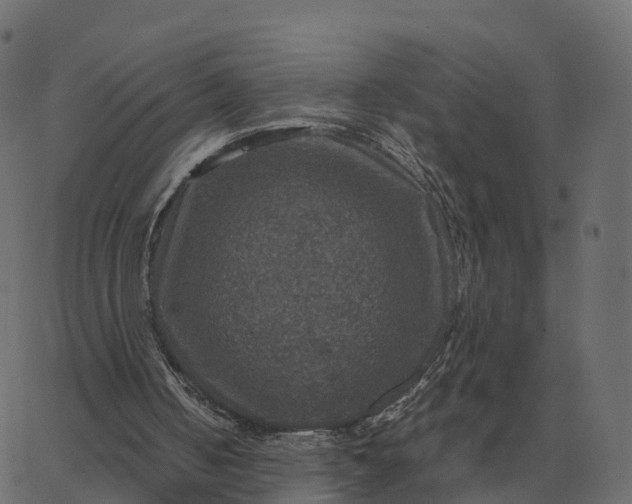 X0000067890050200604271837