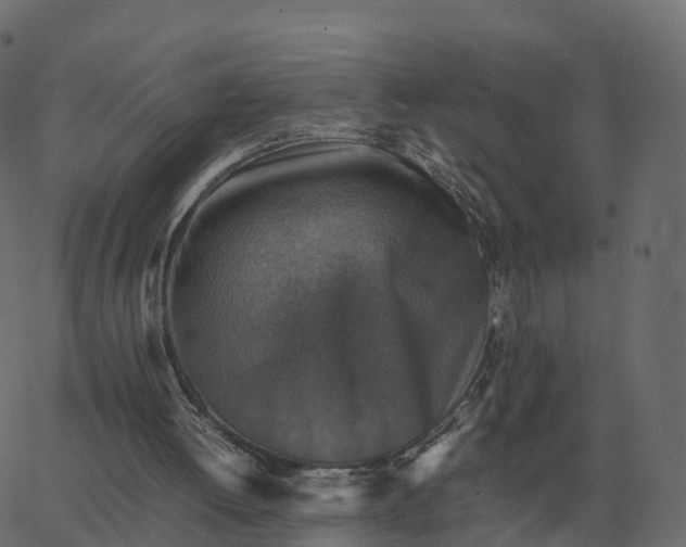 X0000067890052200604271837