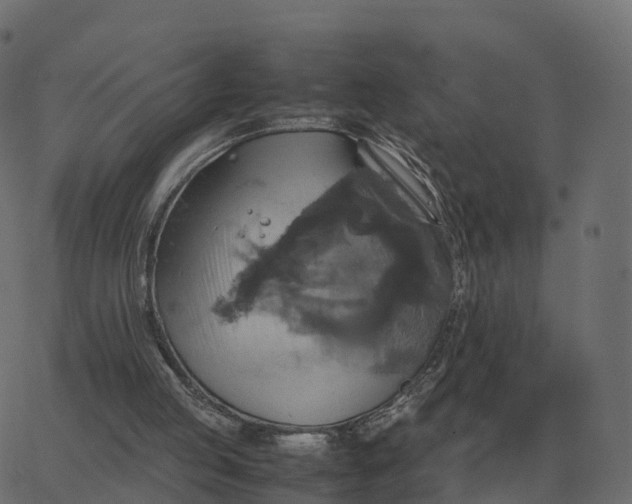 X0000067890053200604271837