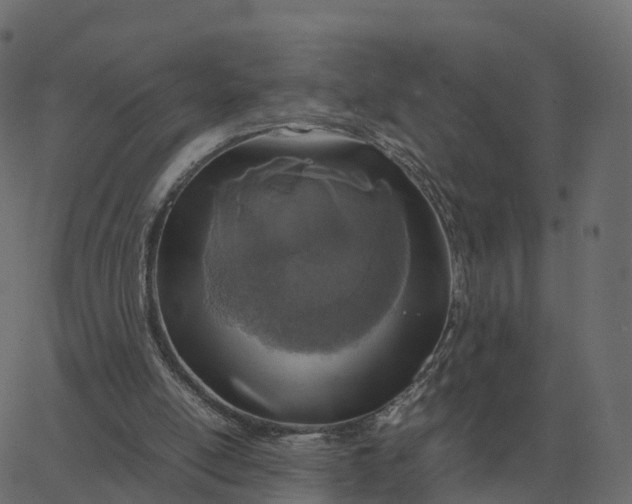 X0000067890054200604271837